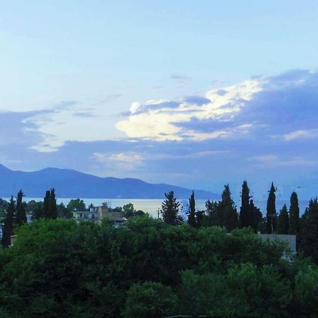 Sunshine Home 2 With Sea View Corfu  Εξωτερικό φωτογραφία